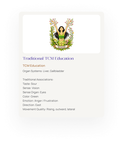 Card: Traditional TCM Education — Wood element, organ systems and traditional associations